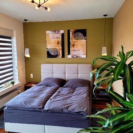 Top Modernes Rhein Apartment Vallendar Mit Balkon מראה חיצוני תמונה